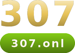 307 logo